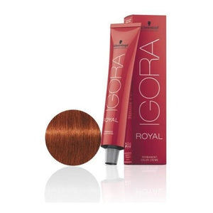 Igora Royal Color 6-77 Blond Foncé Cuivre Extra