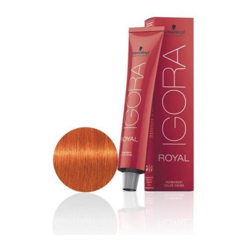 Igora Royal Color 8-77 Copper Extra Light Blond