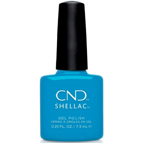 Shellac Pop-Up Pool Party
