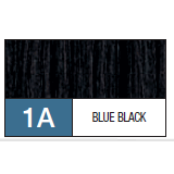 La couleur 1A bleu noir